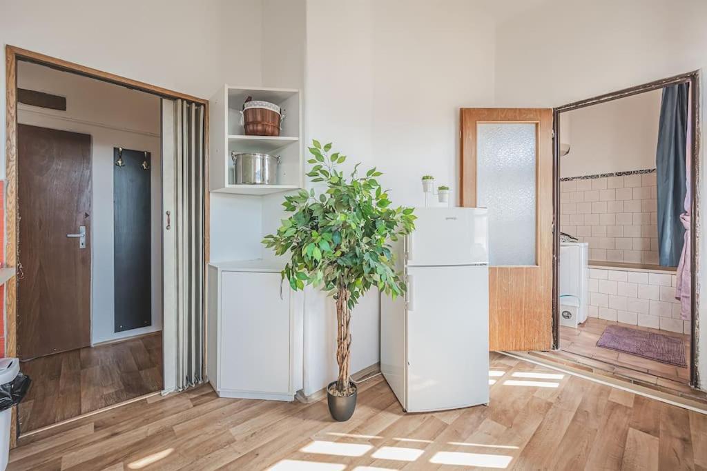 Hradec Králové Carolina'S Romantic Apartment מראה חיצוני תמונה